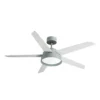 LEBECHE, Ventilador de techo verde, aspas reversibles blanco/haya