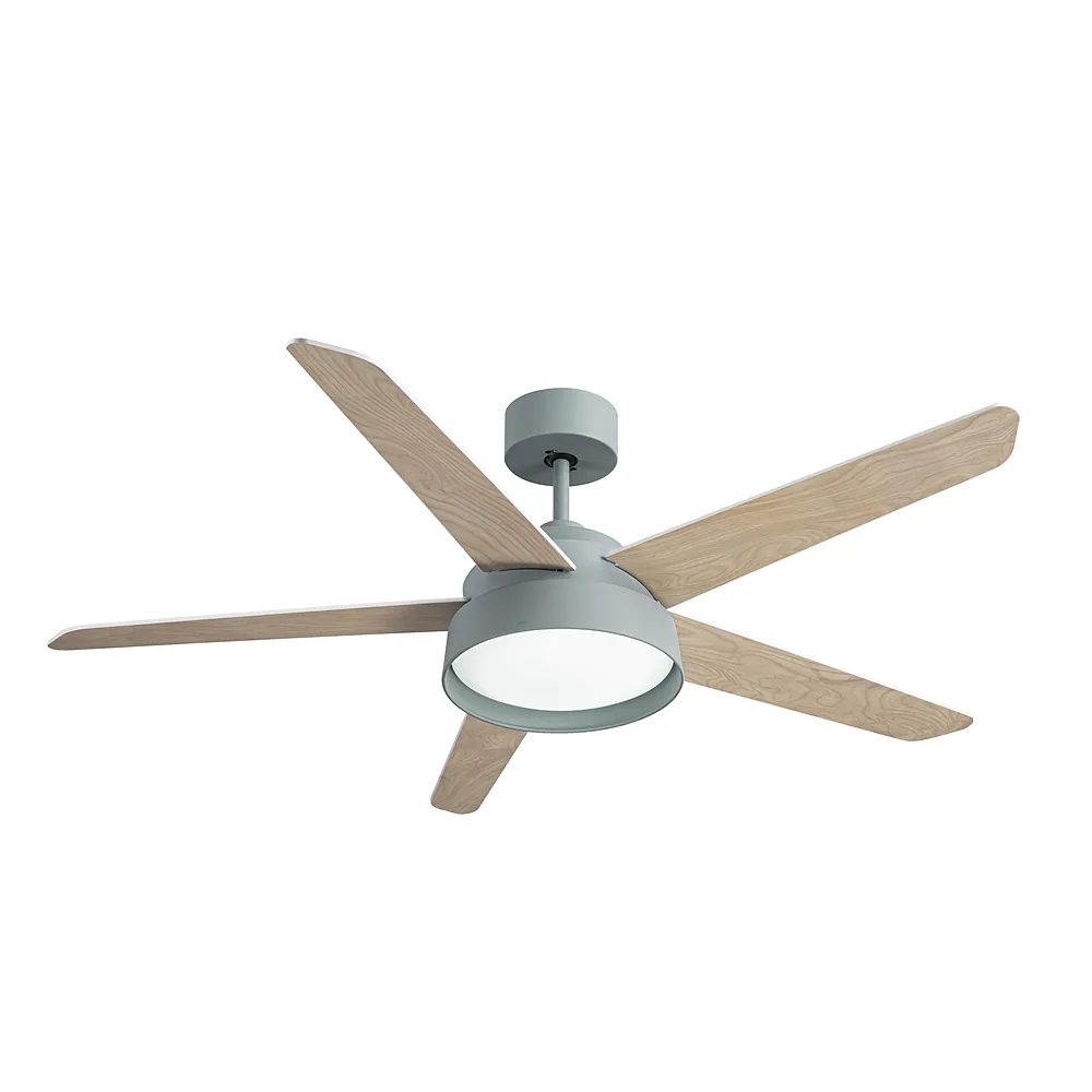 LEBECHE, Ventilador de techo verde, aspas reversibles blanco/haya
