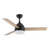 LEGIO, Ventilador de techo negro, aspas color roble