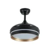 213099016, Ventilador techo Nalón mini, negro/oro