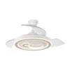 242491368, Ventilador techo Cupido, blanco/haya