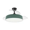 264290309, Ventilador de techo BOGA VERDE, negro