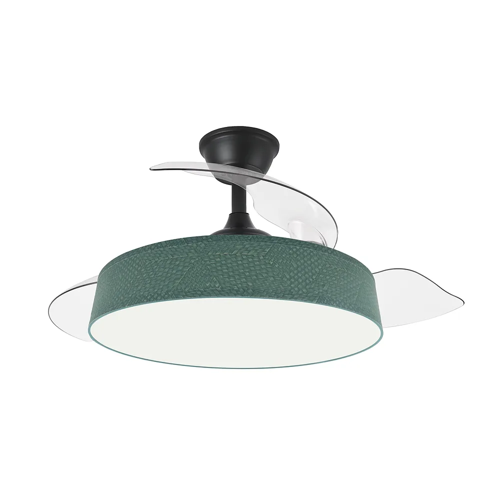 264290309, Ventilador de techo BOGA VERDE, negro