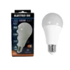 81195/15/CAJA, Bombilla LED estándar, 15W, día