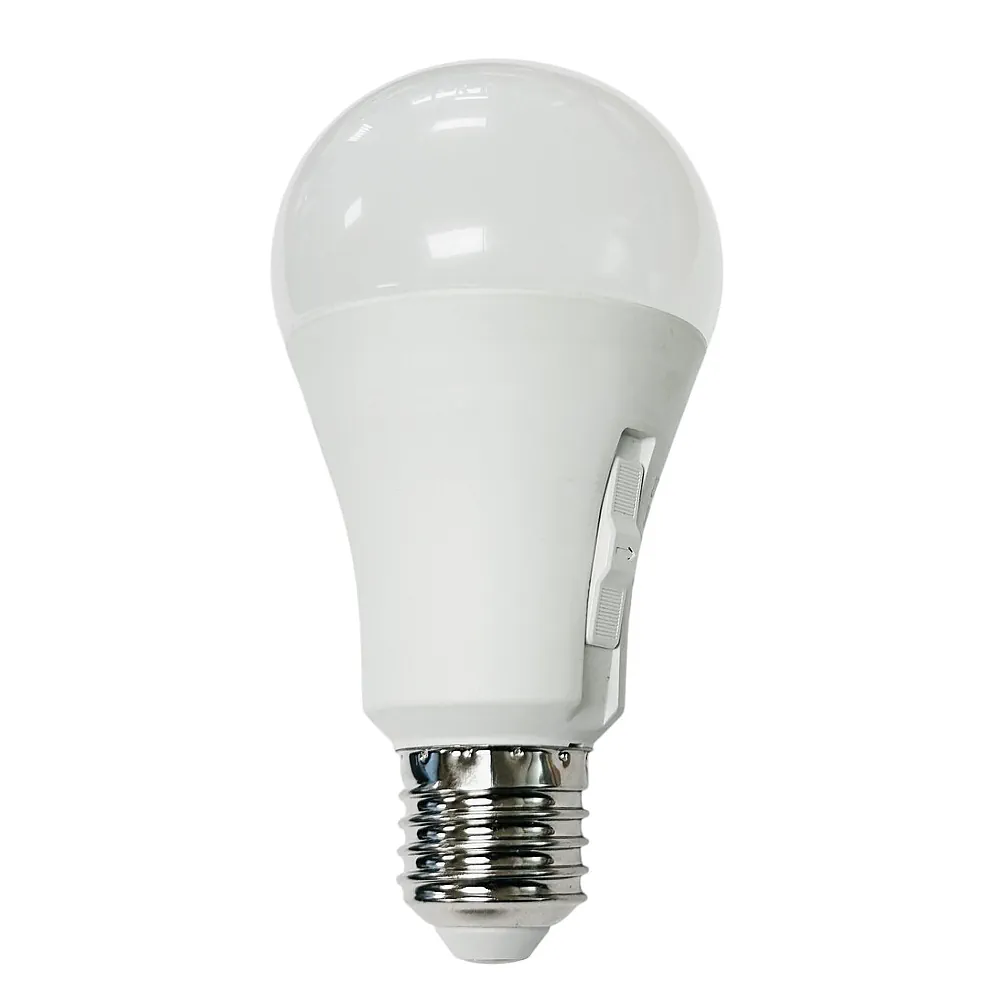 81.196/CCT, Bombilla led estándar CCT, E27