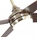 Ventilador de techo, KLOD, cuero-cerezo, tulipa