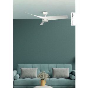 NIGER, ventilador de techo, foto