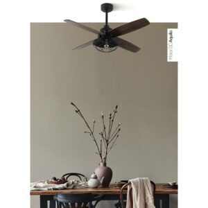 AQUILO, ventilador de techo rústico foto