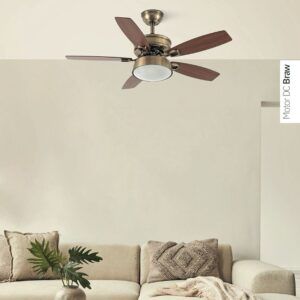 BRAW, ventilador de techo foto