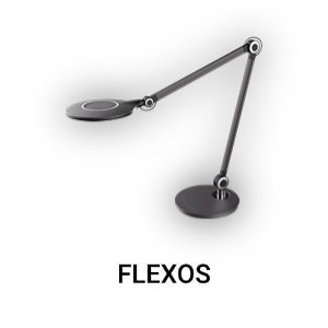 Categoría flexos estudio