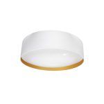 ANUSKA, Plafón led CCT de 96W . Color Blanco/Oro , diámetro 60 cm